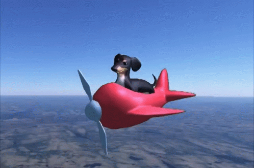 Small Plane Dog Of Wisdom GIF