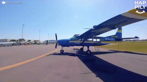 Small Plane Happy Skydiving GIF