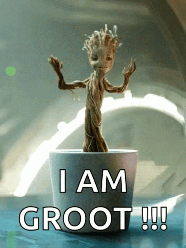 Small Plant in Pot Saying I Am Groot