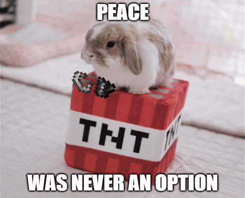 Small Rabbit Sitting on TNT Box