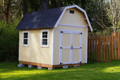 Small Shed With Black Roof And White Trim In Grass GIF