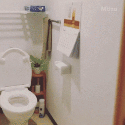 Small Space Bathroom GIF
