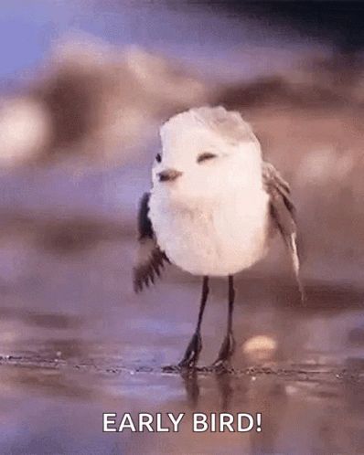 Small White Bird Saying Early Bird