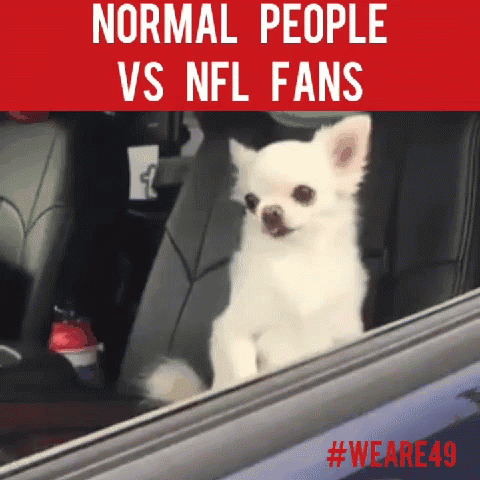 Small White Dog Looking Out Car Window