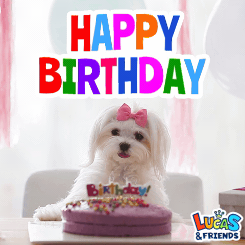Small White Dog with Pink Bow Happy Birthday Cake