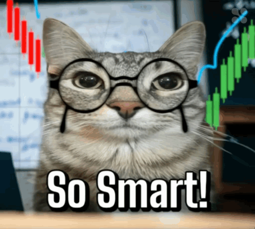 Smart Cat Wearing Glasses