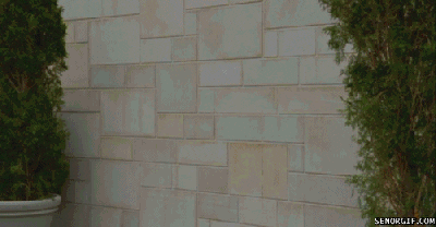 Smash Unto The Wall GIF