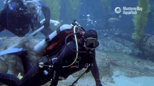 Smile And Wave Boys Scuba Diver GIF