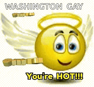Smiley Face With Angel Wings Saying Washington Gay You're Hot