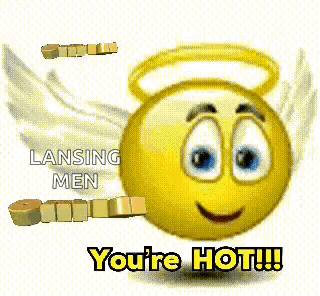 Smiley Face With Wings and Halo Says Lansing Men Omtg You're Hot