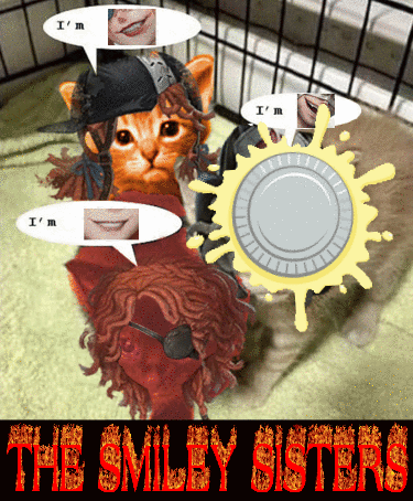 Smiley Sisters Cat and Woman Talking
