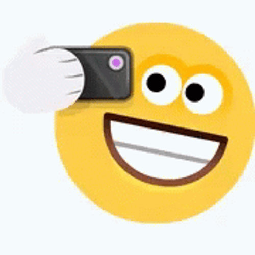 Smiley Sticker Selfie GIF
