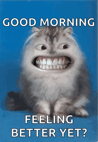 Smiling Cat Good Morning Feeling Better GIF