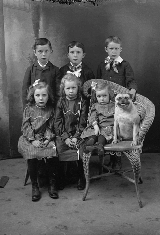 Smiling Dog Family Portrait GIF