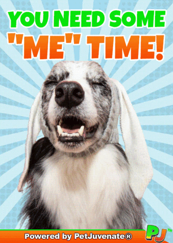 Smiling Dog Saying You Need Some Me Time