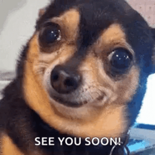 Smiling Dog See You Soon GIF