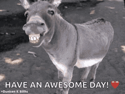 Smiling Donkey Have An Awesome Day