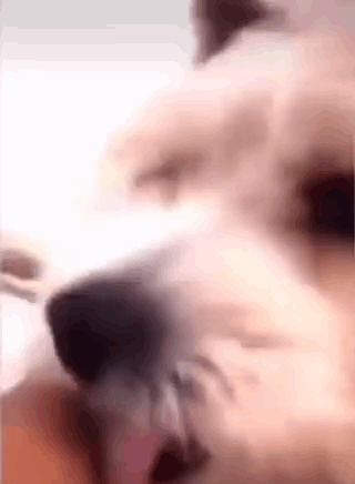 Smiling Man And Woman GIF