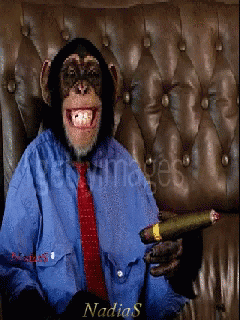 Smiling Monkey Wearing Clothes GIF