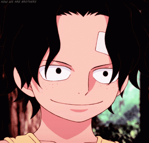 Smiling One Piece Ace With Head Bandage GIF