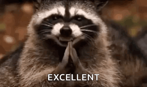 Smiling Raccoon Praying