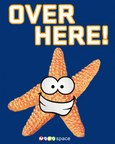 Smiling Starfish Saying Over Here