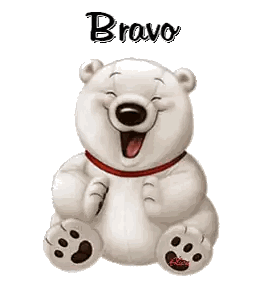 Smiling Teddy Bear Bravo