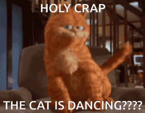 Smirking Garfield Dancing Cat Meme GIF