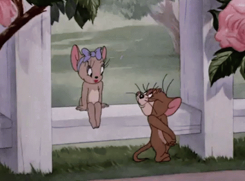 Smitten Jerry The Mouse Tom And Jerry Show GIF