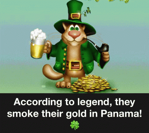 Smoke Their Gold Panama GIF