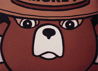 Smokey American Bear Think Animated GIF