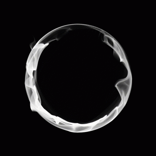 Smokey Circle Of Life GIF