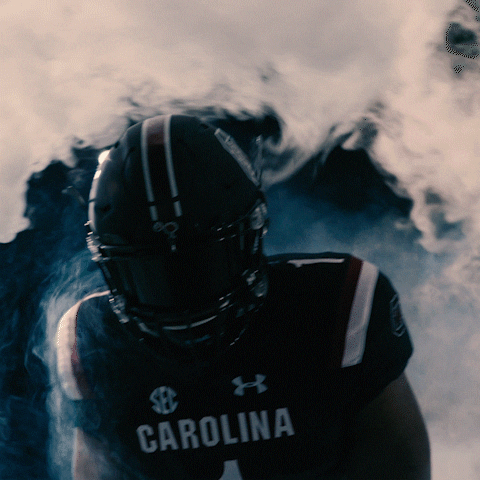 Smokey Effect South Carolina Football Player GIF