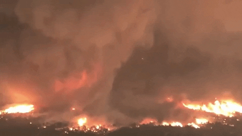 Smokey Fire Tornado California Forest GIF
