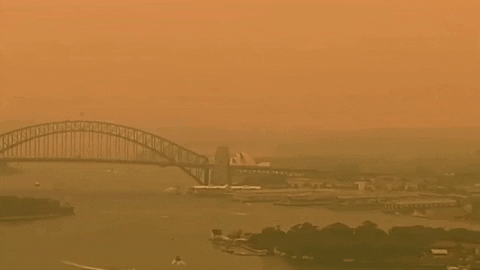 Smokey Haze Sydney Bushfire Crisis GIF