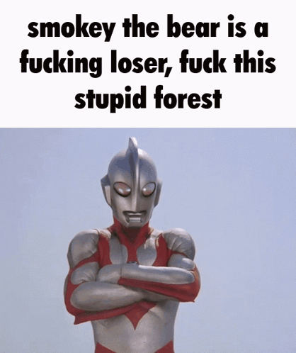 Smokey The Bear Is A Fucking Loser Fuck This Stupid Forest Is Written On A White Background GIF