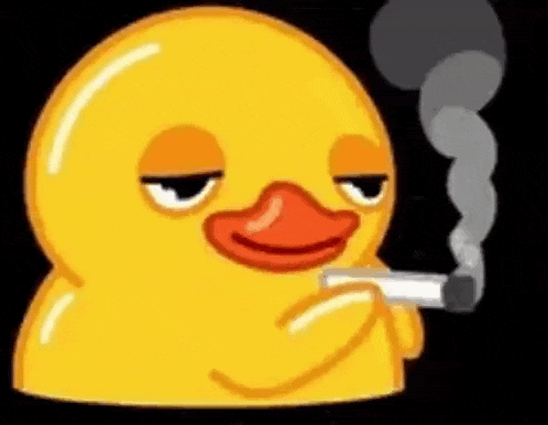 Smoking Duck Gif GIF
