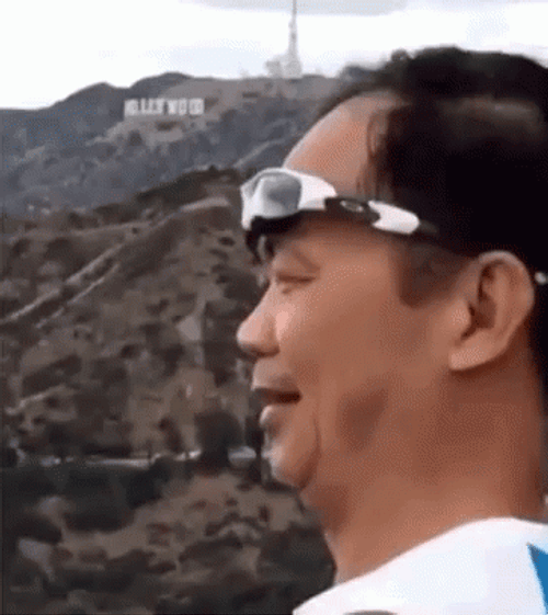 Smooth Man Sunglass Fall GIF