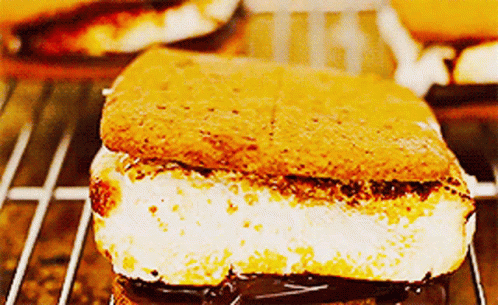 Smores And Crackers Snack GIF