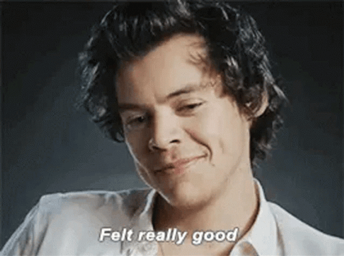 Smug Harry Styles Felt Really Good GIF