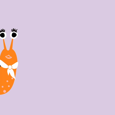 Snail With Cats Kiss GIF