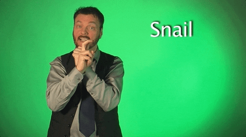 Snail Word Sign Language Teaching GIF