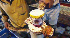 Snake Getting Its Venom GIF