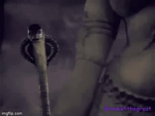 Snake Holding Sword In Mouth Purple Background GIF