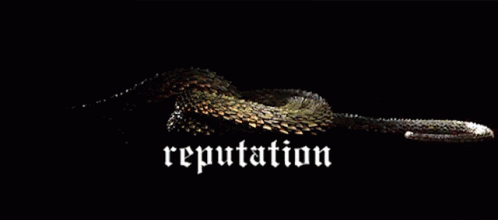 Snake Laying Down With Reputation