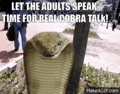 Snake Let The Adults Speak Time For Real Cobra Talk GIF