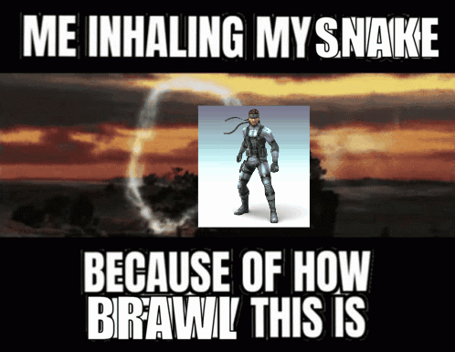 Snake Me Inhaling My Snake How Brawl This Is