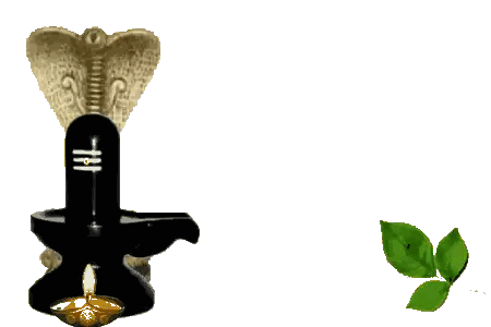 Snake Statue Behind Candle and Leaf