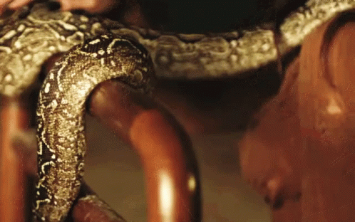 Snake Wrapped Around Woman's Arm