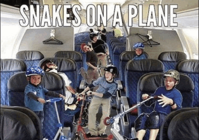 Snakes On A Plane Seat GIF